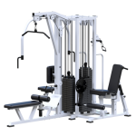 ���������������� ������� �������� ������������� ������� Sabirgym SG097�4�100 ����� 4�100 �� ironking - ������-����-�������.��